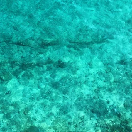Amfora Maris Split