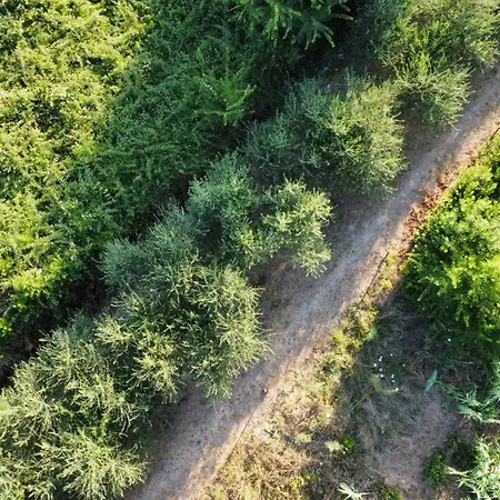 Amfora Maris * スプリト